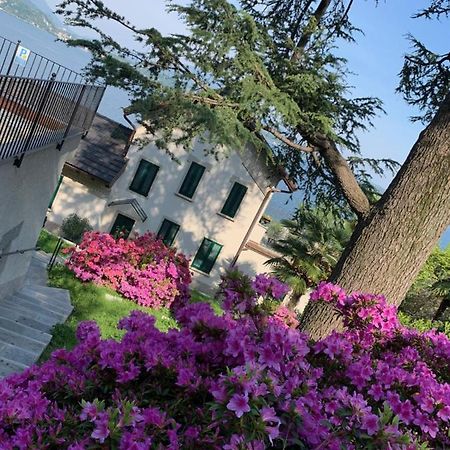 Apartament Giardini Magnolia Belgirate Zewnętrze zdjęcie