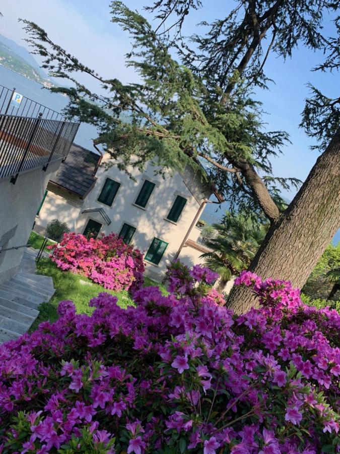 Apartament Giardini Magnolia Belgirate Zewnętrze zdjęcie