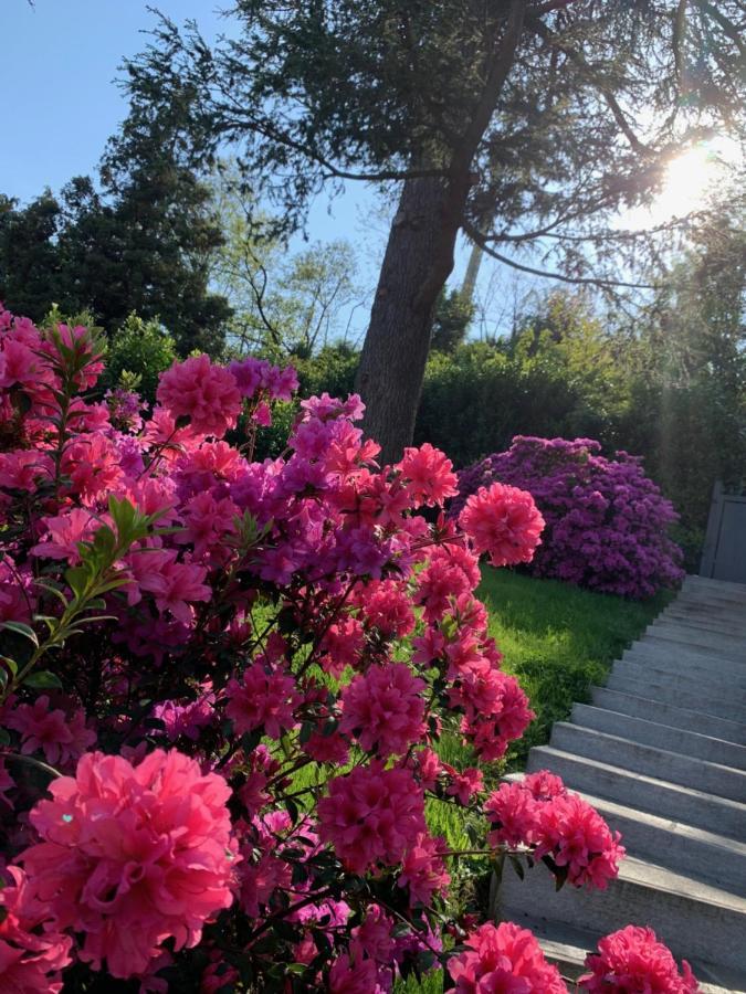 Apartament Giardini Magnolia Belgirate Zewnętrze zdjęcie