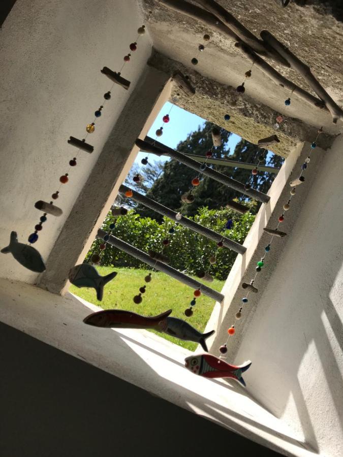 Apartament Giardini Magnolia Belgirate Zewnętrze zdjęcie