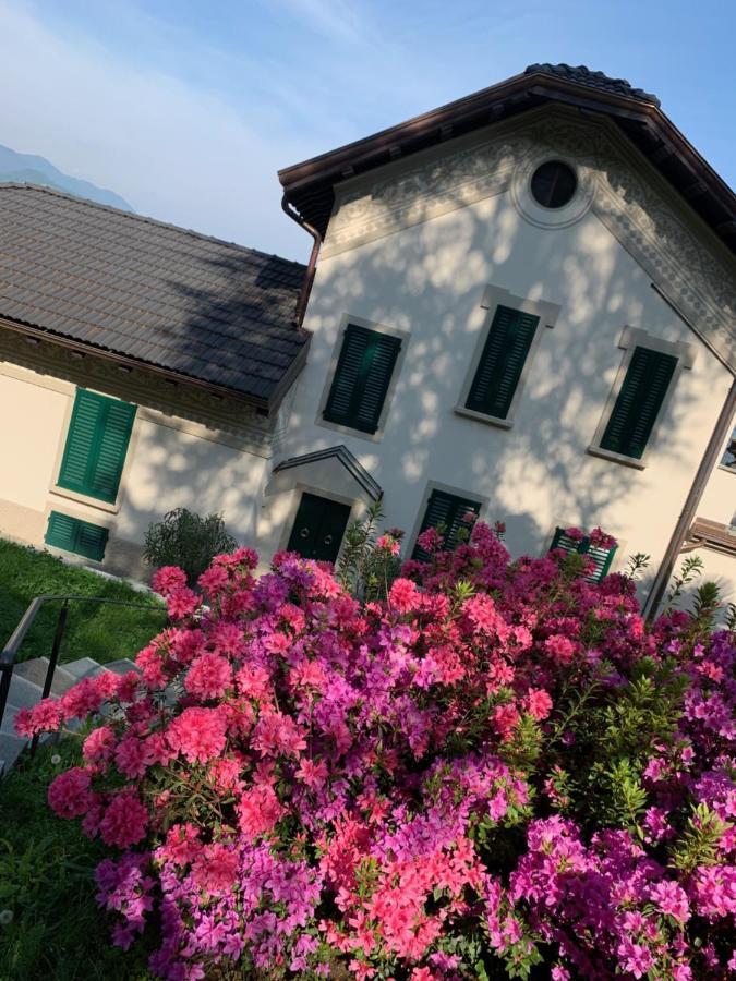 Apartament Giardini Magnolia Belgirate Zewnętrze zdjęcie
