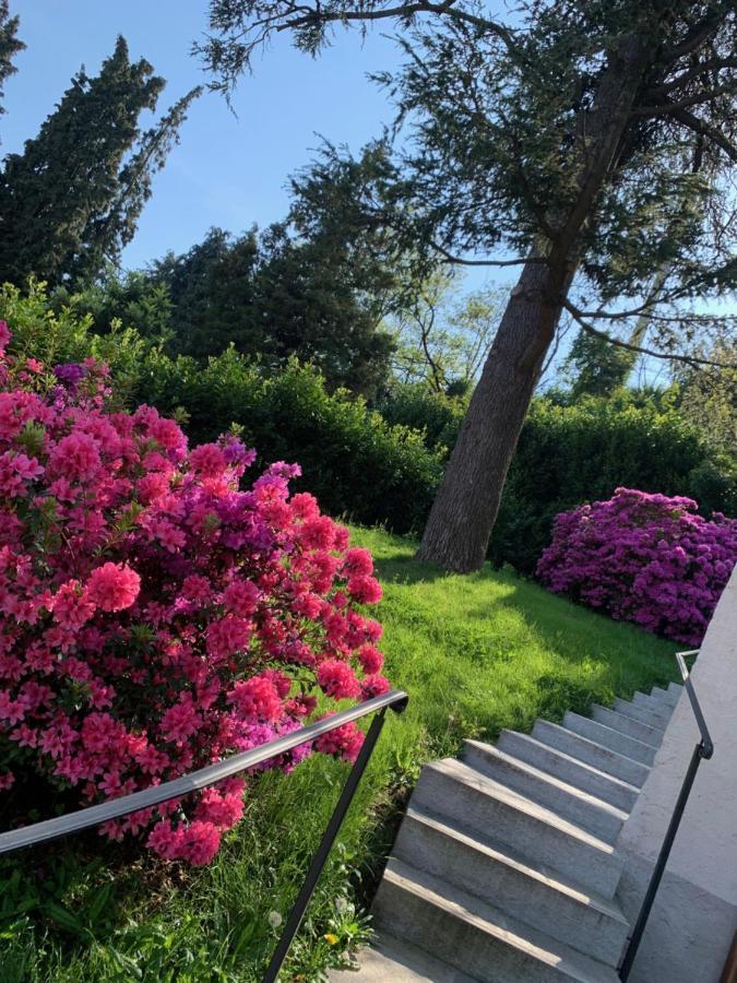 Apartament Giardini Magnolia Belgirate Zewnętrze zdjęcie